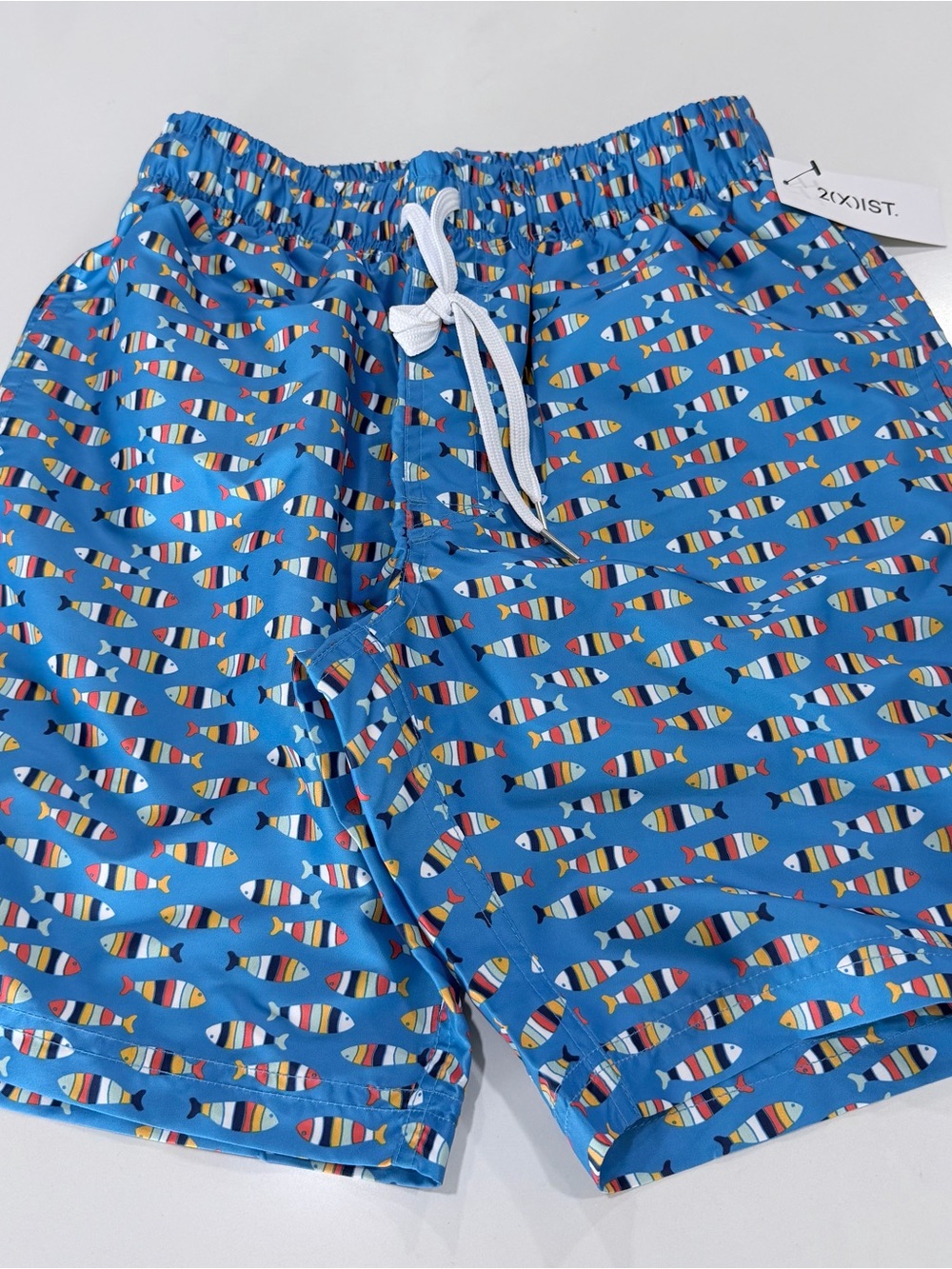 2xist Multi Striped Fish Catalina Swim Short